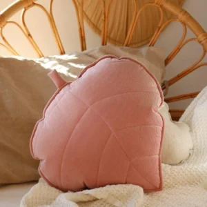 Coussin - Soft Pink- Velours