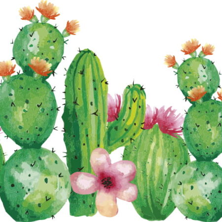 Sticker mural - Cactus Boho.